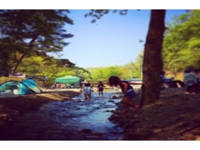 山城町森林公園(レストヴィレッジ山城)の写真1