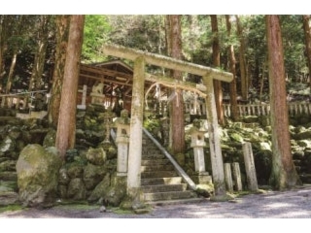 茶宗明神社の写真1
