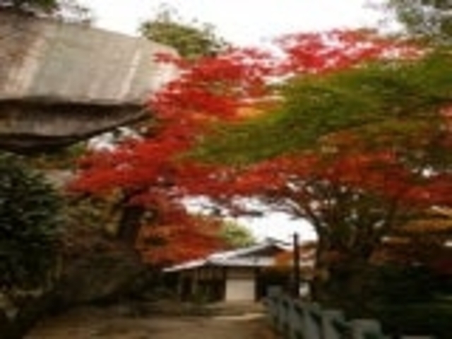 笠置寺(行場めぐり)の写真1