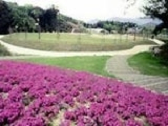 野田川森林公園の写真1