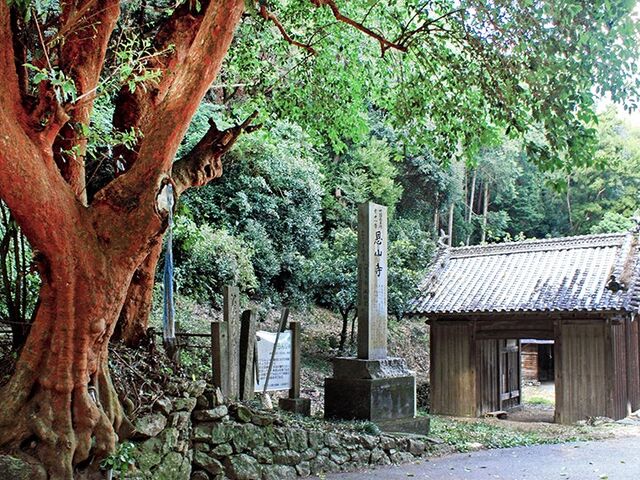 恩山寺のびらんじゅの写真1