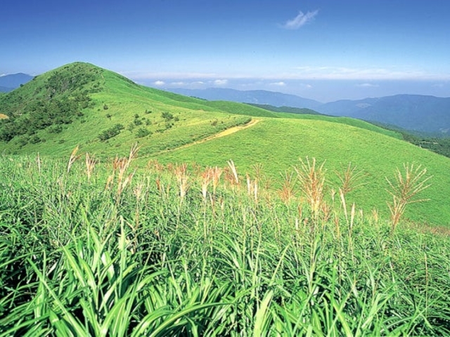 塩塚高原の写真1