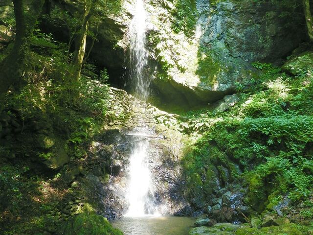 不動の滝〔裏見の滝〕(勝浦町)の写真1