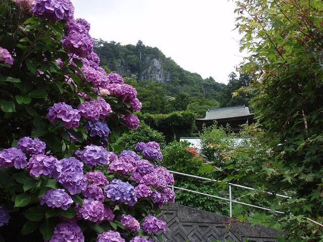 慈眼寺(四国別格3番)の写真1