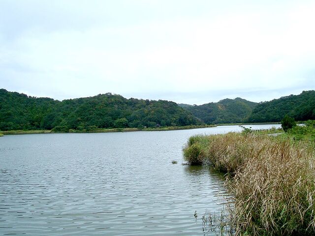 海老ケ池の写真1