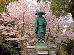 恩山寺の桜の写真1