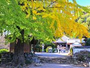 第18番札所 恩山寺の写真3