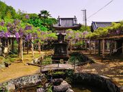 藤井寺のふじの写真1
