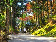 第20番札所 鶴林寺の写真2