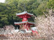 第3番札所 金泉寺の写真2