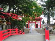 第3番札所 金泉寺の写真3