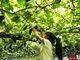 池田観光果樹園の写真4