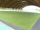 須沢臨海公園オートキャンプ場の写真3