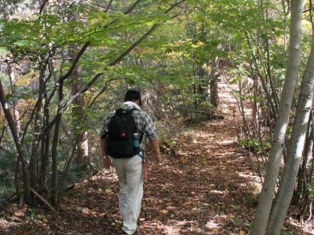 自然観察道(蕪山登山道)の写真1