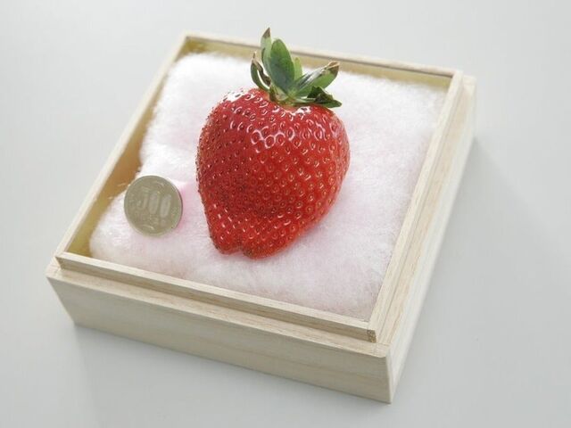 奥田農園(株)の写真1