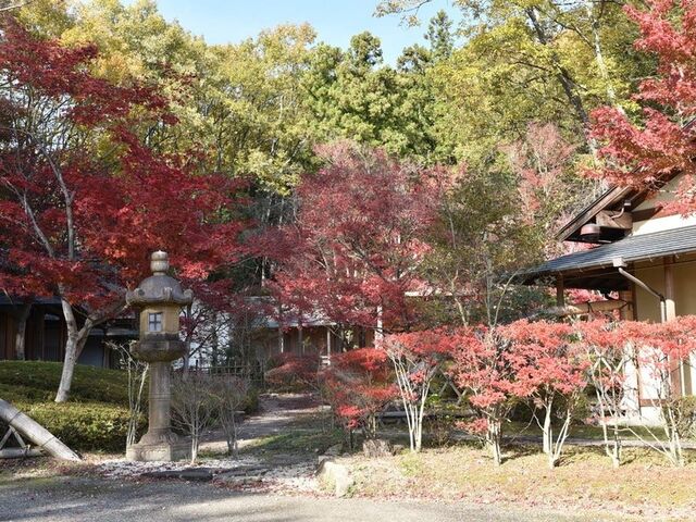 里山の秋の写真1
