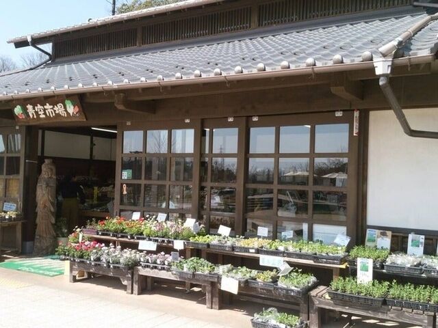 里山公園 青空市場の写真1