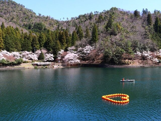 伊自良湖の写真1