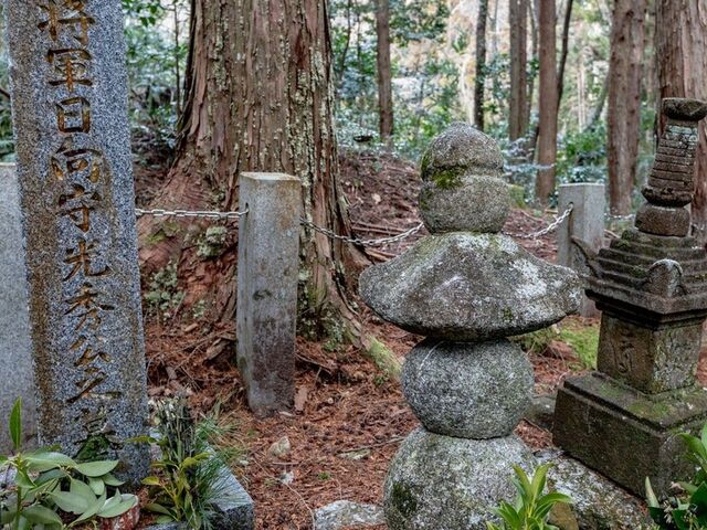 明智光秀の墓(桔梗塚)の写真1