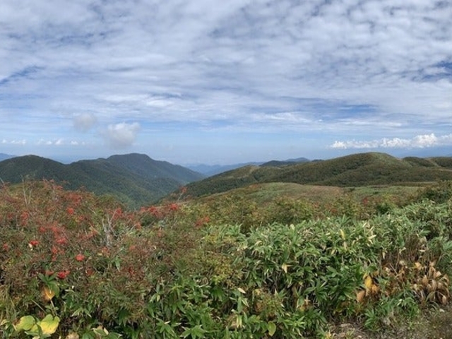 小白木峰・白木峰