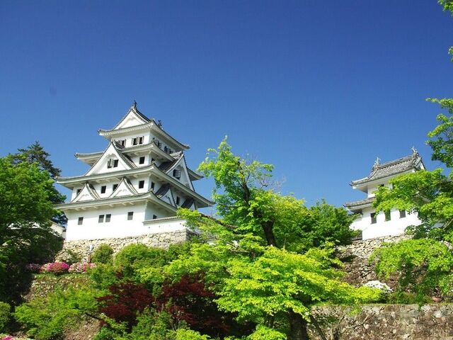 郡上八幡城