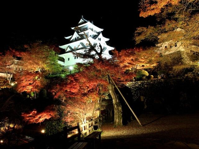 郡上八幡城