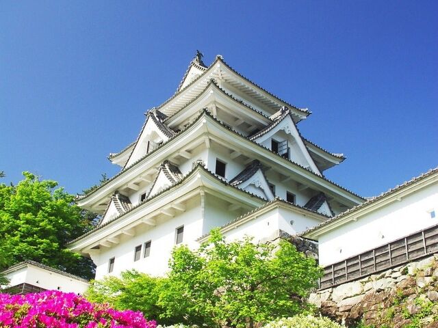 郡上八幡城