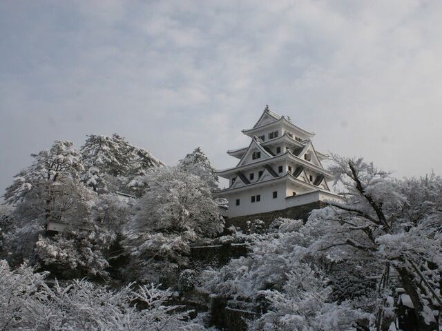 郡上八幡城