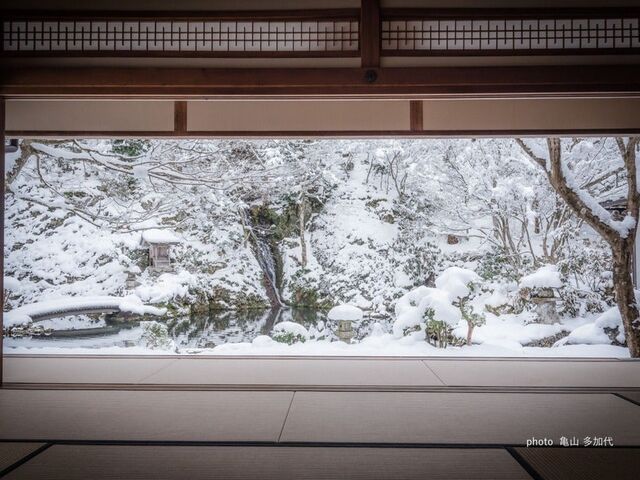 慈恩禅寺 てっ草園の写真1