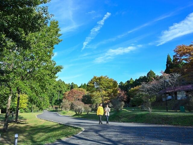 グリーン・ウッド関ケ原 オートキャンプ場の写真4