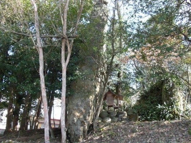 立岩の写真1