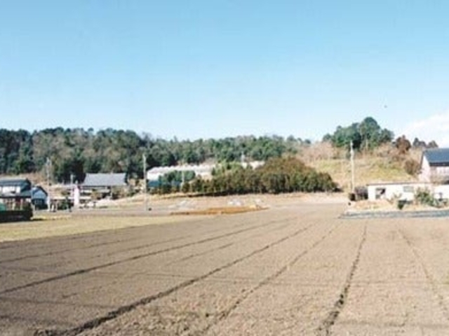 恵日山遺跡(海老山遺跡)の写真1