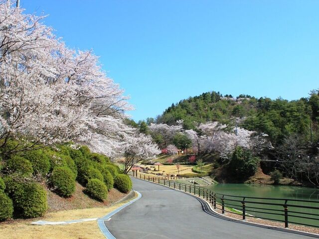 山楠公園の写真1