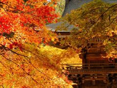 大矢田神社もみじ谷の写真1