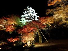 郡上八幡城の写真1