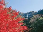 金華山ロープウェーの写真2