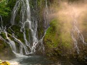 乗鞍山麓五色ヶ原の森の写真2