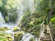 乗鞍山麓五色ヶ原の森の写真3