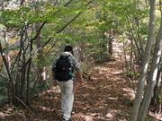 自然観察道(蕪山登山道)の写真2