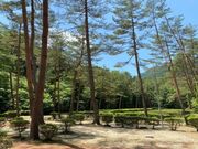 アオミキャンプ場の写真2