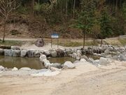 アオミキャンプ場の写真4