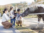 中津川市ふれあい牧場の写真1