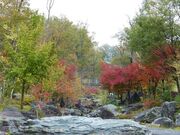 里山の秋の写真3