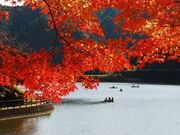 伊自良湖の写真2