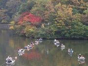 伊自良湖の写真3