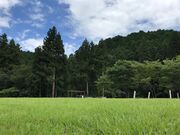 かなの里の写真2