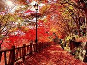 藤波八丁遊歩道の写真2