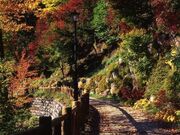 藤波八丁遊歩道の写真3