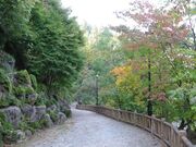 藤波八丁遊歩道の写真4