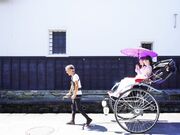 飛騨古川人力車 維の写真3